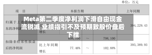 Meta第二季度净利润下滑自由现金流锐减 业绩指引不及预期致股价盘后下挫-第2张图片