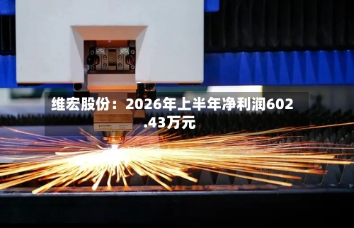 维宏股份:2026年上半年净利润602.43万元-第3张图片