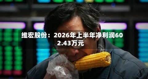 维宏股份:2026年上半年净利润602.43万元-第2张图片