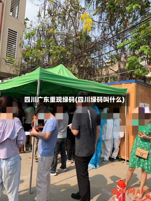 四川广东重现绿码(四川绿码叫什么)-第2张图片