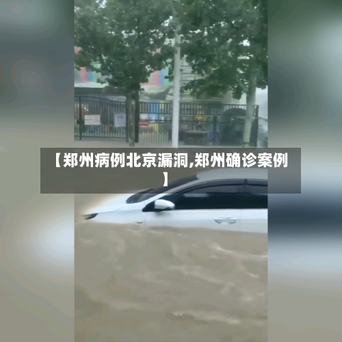 【郑州病例北京漏洞,郑州确诊案例】-第3张图片