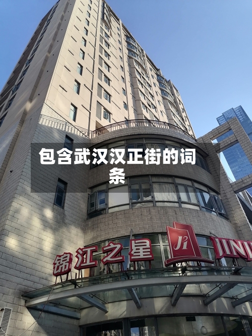 包含武汉汉正街的词条-第3张图片