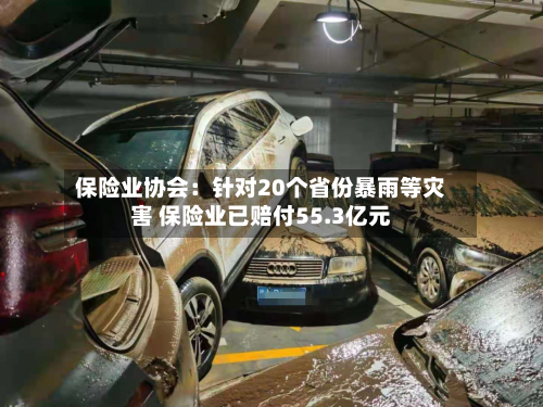 保险业协会：针对20个省份暴雨等灾害 保险业已赔付55.3亿元