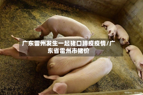广东雷州发生一起猪口蹄疫疫情/广东省雷州市猪价