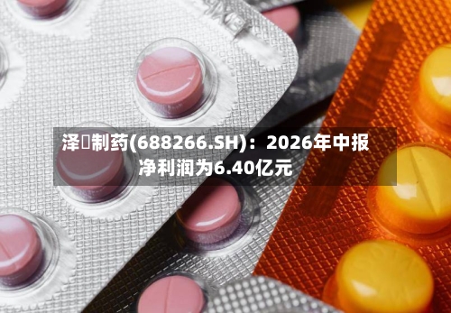 泽璟制药(688266.SH):2026年中报净利润为6.40亿元-第2张图片