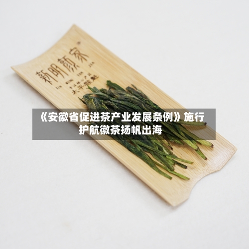 《安徽省促进茶产业发展条例》施行 护航徽茶扬帆出海