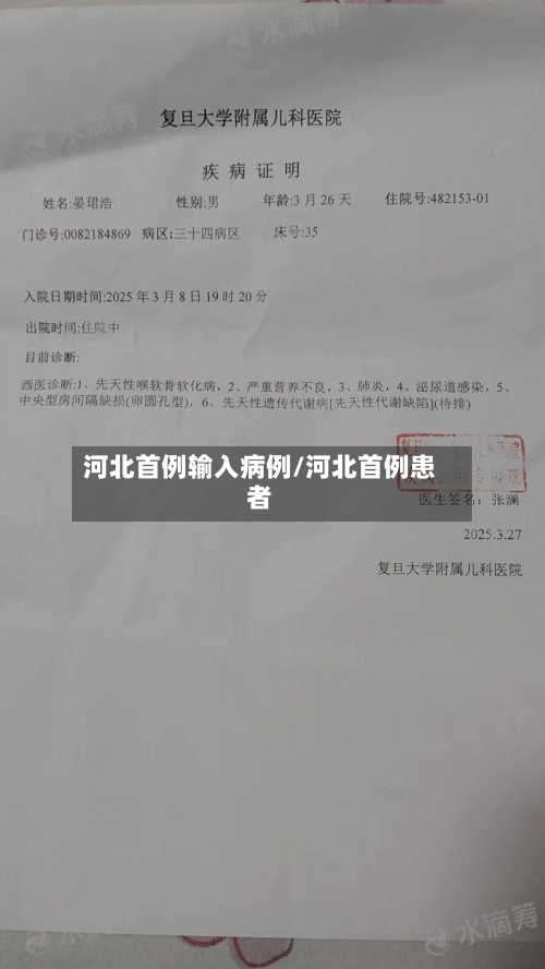 河北首例输入病例/河北首例患者-第2张图片