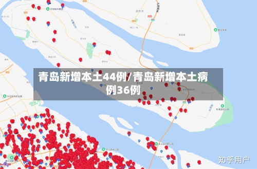 青岛新增本土44例/青岛新增本土病例36例-第2张图片