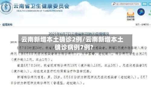 云南新增本土确诊2例/云南新增本土确诊病例7例?-第3张图片