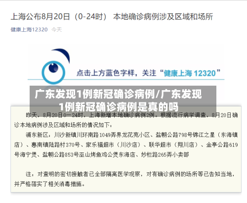 广东发现1例新冠确诊病例/广东发现1例新冠确诊病例是真的吗-第3张图片
