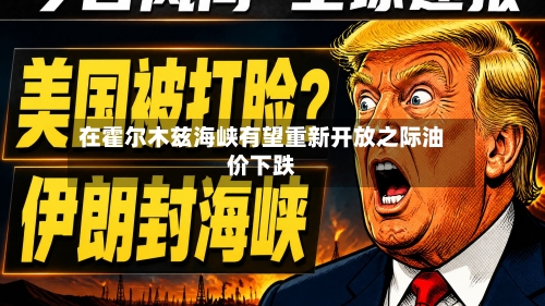 在霍尔木兹海峡有望重新开放之际油价下跌