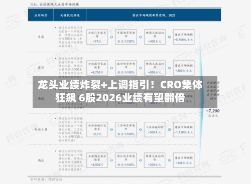 龙头业绩炸裂+上调指引！CRO集体狂飙 6股2026业绩有望翻倍-第3张图片