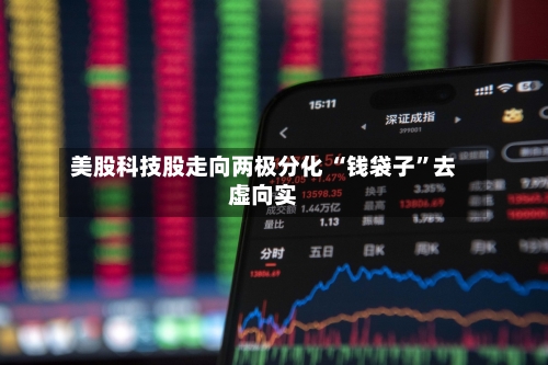 美股科技股走向两极分化 “钱袋子”去虚向实-第2张图片