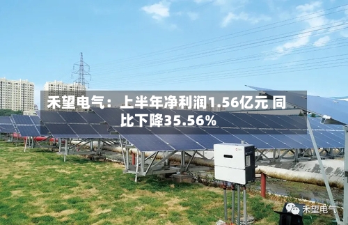 禾望电气：上半年净利润1.56亿元 同比下降35.56%-第2张图片