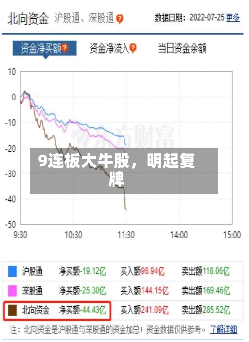 9连板大牛股，明起复牌-第2张图片