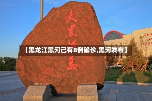【黑龙江黑河已有8例确诊,黑河发布】-第2张图片