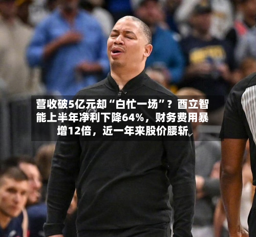 营收破5亿元却“白忙一场	”？酉立智能上半年净利下降64%	，财务费用暴增12倍，近一年来股价腰斩-第2张图片