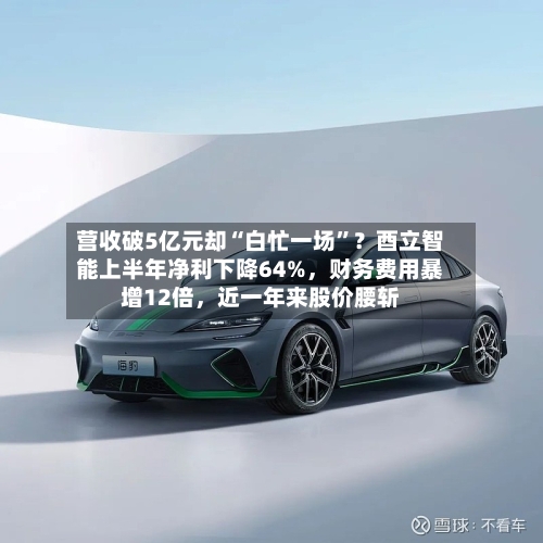 营收破5亿元却“白忙一场”？酉立智能上半年净利下降64%，财务费用暴增12倍，近一年来股价腰斩-第3张图片