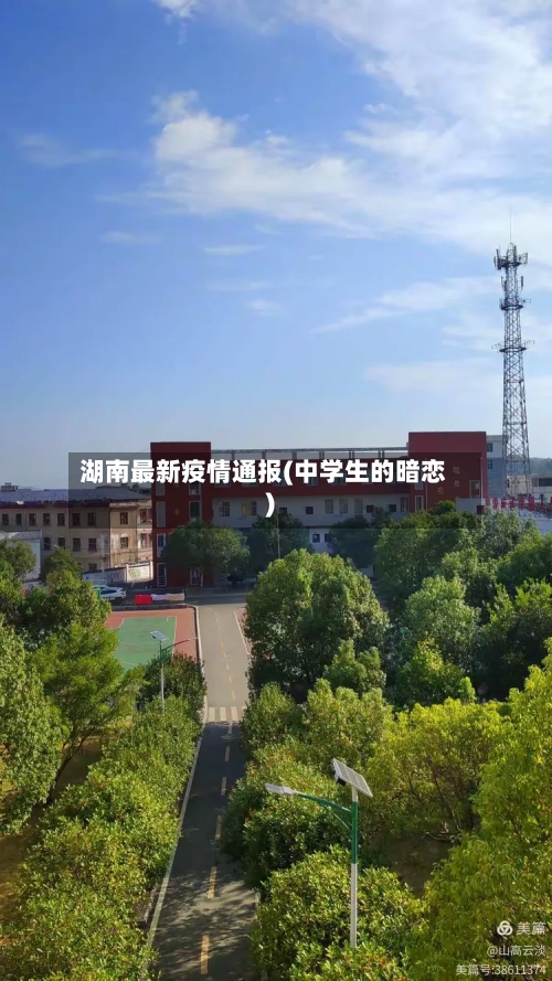 湖南最新疫情通报(中学生的暗恋)-第2张图片