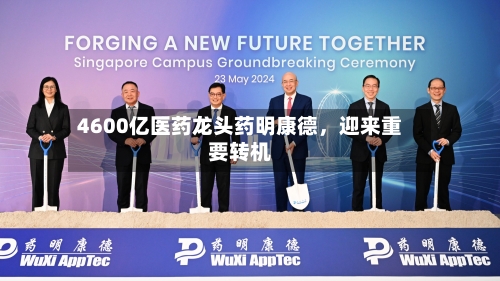 4600亿医药龙头药明康德	，迎来重要转机-第2张图片