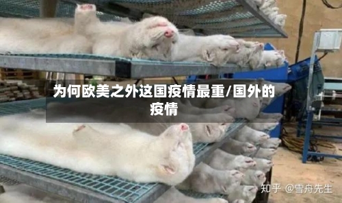 为何欧美之外这国疫情最重/国外的疫情