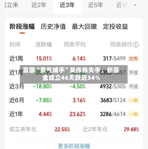 富国“景气捕手”吴栋栋失手	，新基金成立46天跌近34%-第3张图片