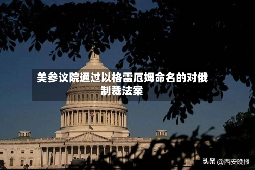 美参议院通过以格雷厄姆命名的对俄制裁法案-第2张图片