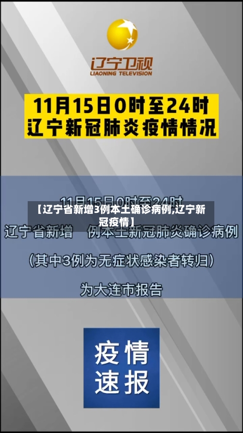 【辽宁省新增3例本土确诊病例,辽宁新冠疫情】-第2张图片