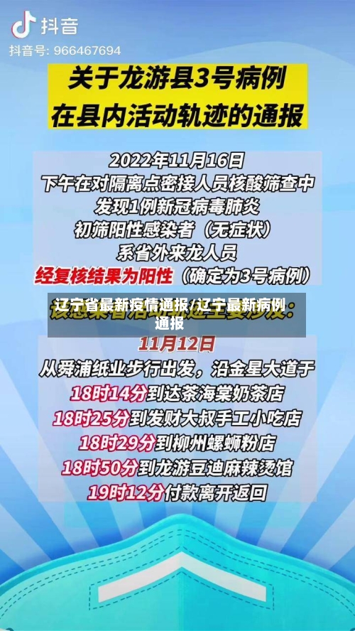辽宁省最新疫情通报/辽宁最新病例通报-第2张图片