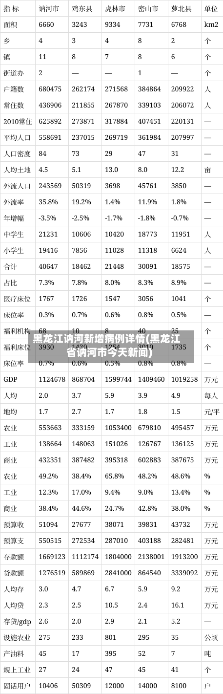 黑龙江讷河新增病例详情(黑龙江省讷河市今天新闻)-第2张图片