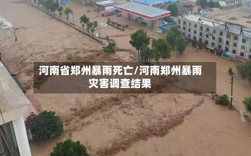 河南省郑州暴雨死亡/河南郑州暴雨灾害调查结果
