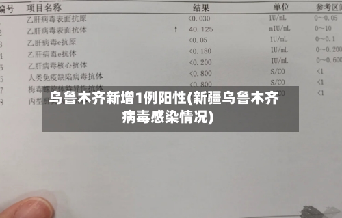 乌鲁木齐新增1例阳性(新疆乌鲁木齐病毒感染情况)