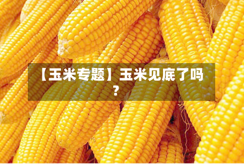 【玉米专题】玉米见底了吗？