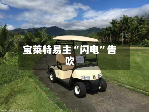 宝莱特易主“闪电”告吹-第3张图片