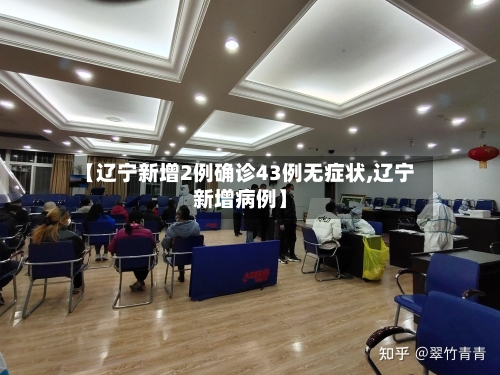 【辽宁新增2例确诊43例无症状,辽宁新增病例】-第3张图片