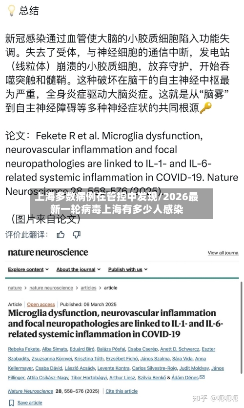 上海多数病例在管控中发现/2026最新一轮病毒上海有多少人感染-第2张图片