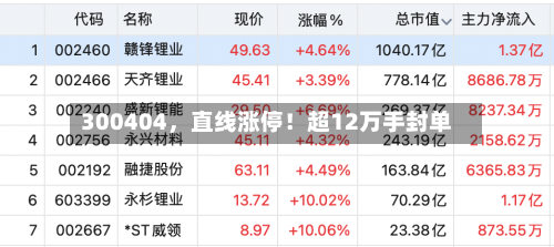 300404	，直线涨停！超12万手封单-第3张图片
