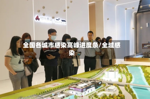 全国各城市感染高峰进度条/全域感染-第2张图片