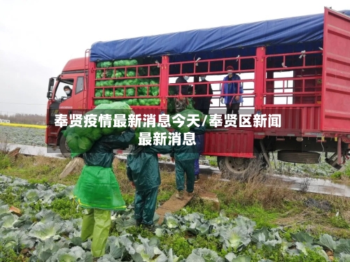奉贤疫情最新消息今天/奉贤区新闻最新消息-第2张图片