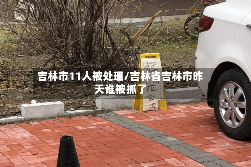 吉林市11人被处理/吉林省吉林市昨天谁被抓了-第2张图片