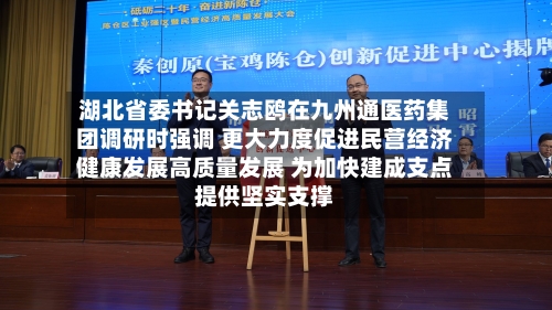 湖北省委书记关志鸥在九州通医药集团调研时强调 更大力度促进民营经济健康发展高质量发展 为加快建成支点提供坚实支撑-第2张图片