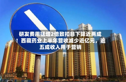 研发费用猛增2倍致扣非下降近两成！西藏药业上半年营收减少近亿元，逾五成收入用于营销-第3张图片