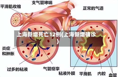 上海新增死亡12例(上海新增确诊)