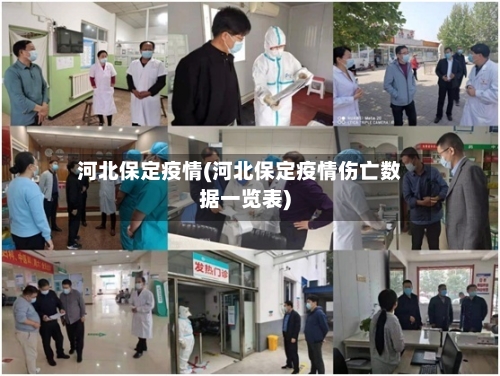 河北保定疫情(河北保定疫情伤亡数据一览表)