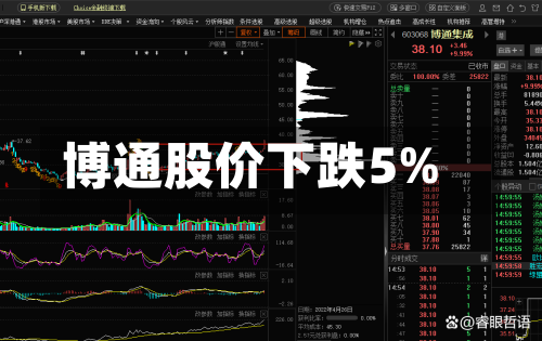 博通股价下跌5%