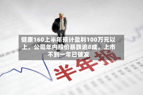 健康160上半年预计盈利100万元以上，公司年内股价暴跌逾8成	，上市不到一年已破发-第2张图片