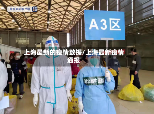 上海最新的疫情数据/上海最新疫情通报-第3张图片