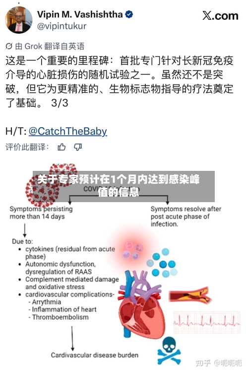关于专家预计在1个月内达到感染峰值的信息-第2张图片