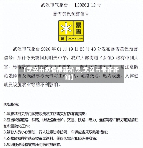 【武汉市疫情最新消息,武汉市最新新闻】-第3张图片
