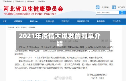 2021年疫情大爆发的简单介绍-第3张图片
